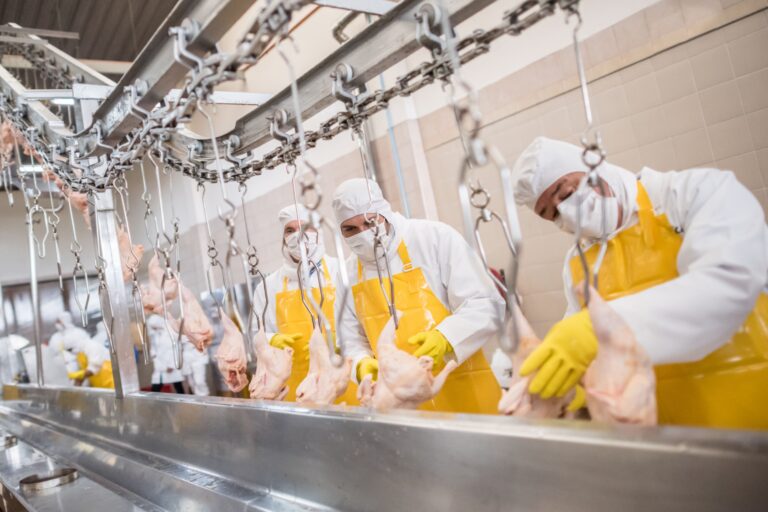 Refrigeração como fator crítico na produção de alimentos: soluções para cada etapa
